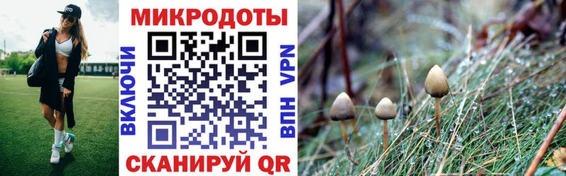 наркотики  ОМГ ОМГ вход  Галлюциногенные грибы Cubensis  Пучеж 